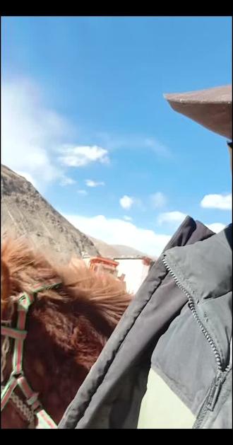 2026年我的爱马诺布央泽加油,#马背上的民族