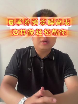 #养鹅人#养鹅技术#科学养鹅#马岗鹅#养鹅流程