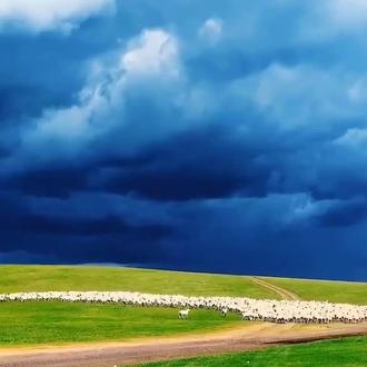 敕勒川畔天籁音,草原绝美Live震撼心灵!