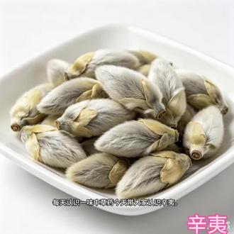 每天认识一味中草药🌿—辛夷#中药材 #中草药 #植物科普 #中草药知识 #中草药植物
