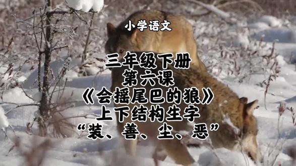 小学语文三年级下册第六课《会摇尾巴的狼》上下结构生字“装、善、尘、恶”字书写方法和要点讲解#小学语文 #三年级下册语文#三年级下册语文同步生字#三年级下册语文预习