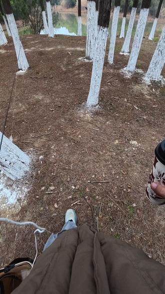 推荐给还没破龟的新手宝宝们一个破龟塘,祝各位宝宝早日破龟~ #微物路亚 #标点分享 #路亚野钓