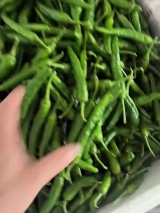 最好吃的辣椒