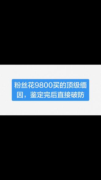 粉丝花9800买的顶级缅因,鉴定完后直接破防 粉丝花9800买的顶级缅因,鉴定完后直接破防#缅因 #缅因猫 #缅因猫日常