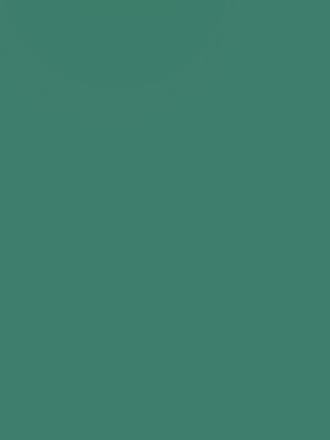 五年级语文易错词句10页纸 #五上语文 #五年级上册语文 #五年级语文 #小学语文 #家长必读