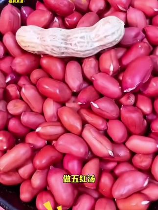 东北特产,四粒红花生米,批发红皮生花生,农家自种炒炸食用去壳花生仁#优质农产品 #新鲜农产品