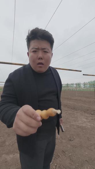 葫芦应该怎么盘 盘葫芦注意方法,别说我的葫芦没那么娇气,就跟别人比气质,好葫芦一定是注意细节人的盘出来的#葫芦 #葫芦种植户 #葫芦种植技术分享 #八宝葫芦 #葫芦种植户种植基地