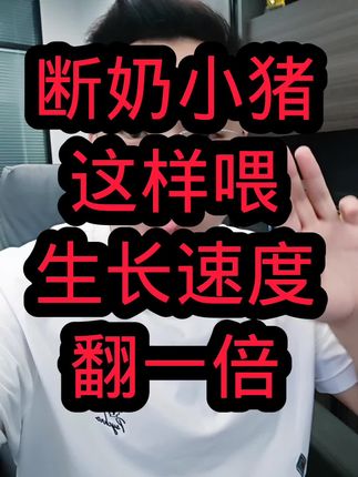 断奶小猪这样喂生长速度翻一倍 #养猪 #仔猪 #母猪 #明日猪价 #最新猪价