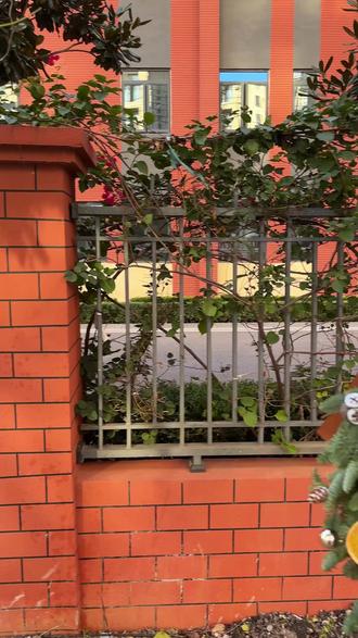 圣诞节谁能拒绝亮闪闪的圣诞树啊 圣诞节谁能拒绝亮闪闪的圣诞树啊
##圣诞树 #圣诞节 #圣诞礼物 #圣诞节的仪式感 #圣诞的一百种打开方式