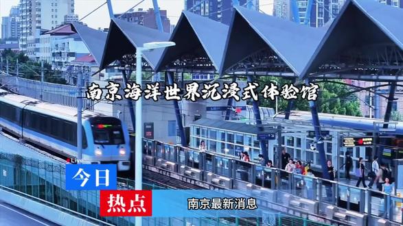 不用潜水、不用远行,你就坐在深海中央,被整片大海温柔拥抱#海底世界#海洋馆#海洋世界#亲子游玩好去处#南京海洋世界