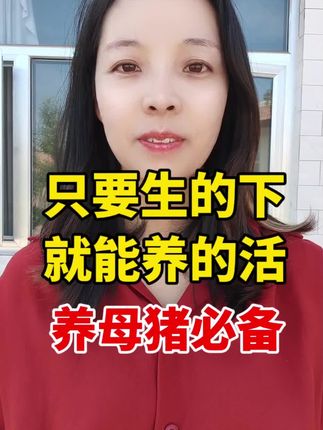 #养猪 #养猪人加油干 #养猪人不容易 #母猪没有奶水 #仔猪奶粉