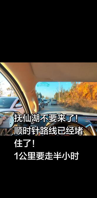 抚仙湖逆时针自驾游,成功避开拥堵,但是各点位还是人山人海,有些路你走过了才能有体会,东岸比西岸好👍👍👍#云南旅游攻略 #抚仙湖 #抚仙湖游玩攻略 #抚仙湖希尔顿酒店