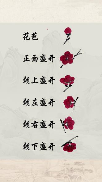 新手必学的梅花朝向画法教学#国画 #国画教程 #国画教学