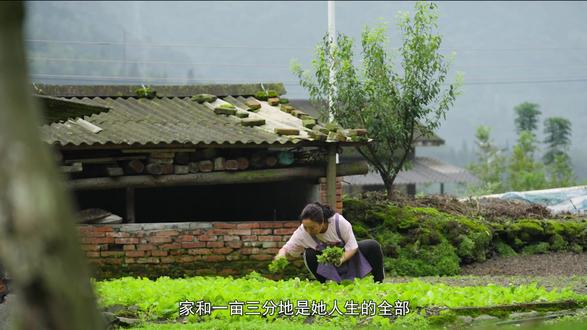 #汶川党校红课堂 穿越灾难的映秀