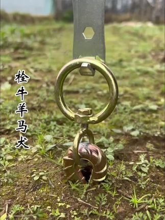 栓牛马羊狗桩 这就是一直在找的螺纹钢地砖钉,长度四十公分,带有可旋转铁环。畜牧养殖牛羊马犬,画地为牢,还可以用的固定大棚,户外露营搭建帐篷特别牢固。#栓牛栓马栓狗桩 #放牛 #放马 #螺纹钢地砖钉 #好物推荐🔥