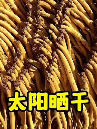 #党参#甘肃党参 #大自然的馈赠#美食#干货