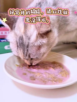 快来薅这个新品主食肉肉杯,一盒有六杯,你们看才多少钱?它是这种浓汤加肉粒的质地,猫猫贼喜欢#墨非猫 #主食餐盒#墨非猫主食肉肉杯