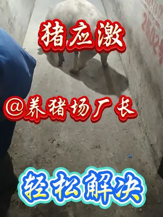 #所有养猪人 #养猪人加油干 #养猪人不容易