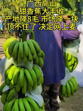 原来真正好吃的香蕉是这样的!自然成熟的香气和口感,软糯香甜!没有一点点硬心,好吃又划算#香蕉 #绿香蕉 #应季水果