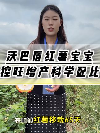 红薯增产叶面肥#厂家直发品质保证 #红薯控旺增产套餐