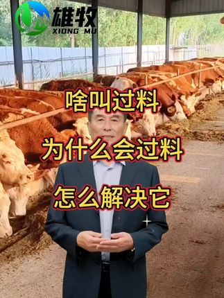 #养牛技术 #牛过料拉稀 #牛干吃不胖 #养牛致富