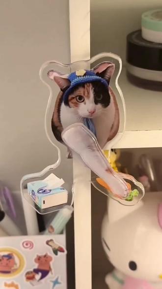 哈哈哈 这个萝卜纸巾猫咪冰箱贴也太好玩了#冰箱贴 #玩个很新的东西 #萝卜纸巾出现人传人现象 #萝卜纸巾猫 #好物推荐🔥