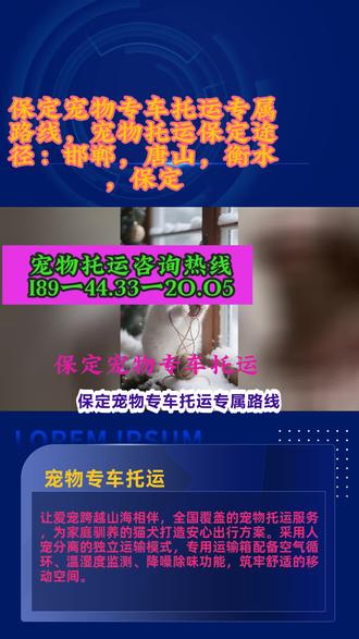 保定宠物专车托运专属路线,宠物托运保定途径:邯郸,唐山,衡水,保定全程专员照顾提供喂水、喂食服接送到小区门口,宠物邮寄、快递、托运、代办检疫一站式服务。空运、火车、宠物专车。舒适:我们提供专业的宠物运输服务,确保您的宠物在运输过程中的与舒适。经济实惠:我们的价格透明,经济实惠,让您在享受优质服务的同时,也能节省费用。灵活便捷:我们提供灵活的接送服务,让您的宠物托运更加便捷。托运途中的装卸环节,满是小心翼翼的温柔。工作人员会轻拿轻放每一个笼舍,避免剧烈晃动给宠物带来惊吓。上下运输工具时,会用手护住笼舍边缘,减缓颠簸,确保笼内的毛孩子平稳无虞。看着笼舍被稳稳安放,宠物们也渐渐放下戒备,装卸不再是令人紧张的环节,而是被细心呵护的瞬间。 #保定宠物专车托运 #保定宠物猫猫托运专车专送 #保定宠物托运空运
