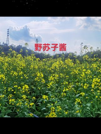野苏子酱延边朝鲜族特色拌饭酱下饭酱牛肉汤酱300g营养#苏子酱