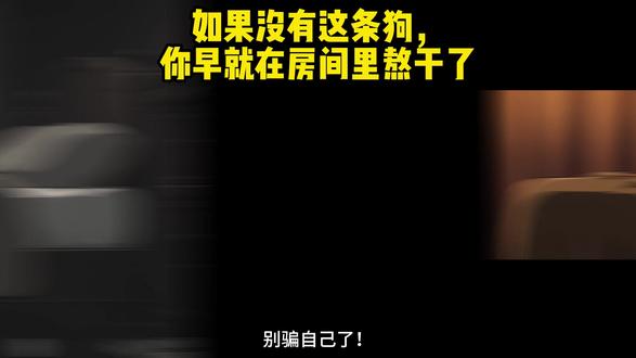 谁救赎了谁?成年人最破防的瞬间,是一条狗硬生生把我拖去见太阳 🐕😭#养狗日常 #精神内耗 #互相救赎 #被狗狗治愈的瞬间 #铲屎官