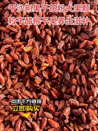 新疆沙棘果干沙荆果干茶粉大果颗粒干醋柳干果养生滋补