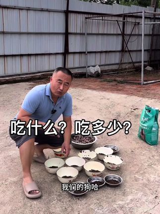 怎么养狗 狗吃什么?吃多少?#新手养狗#养狗经验分享 #养狗的乐趣