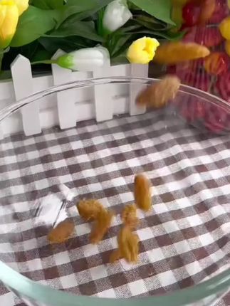 小燕食朴无核甘草橄榄条潮汕特产茶点果肉干蜜饯果脯休闲零食200g#休闲零食 #强烈推荐 #好吃到停不下来 @DOU+小助手 @DOU+好生意