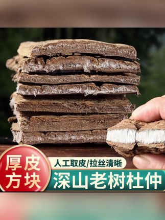 老树龄杜仲厚肉拉丝煲汤料正品干杜肿杜仲皮树皮泡茶煮水#杜仲 #养生茶#养生#煲汤 #大自然的馈赠