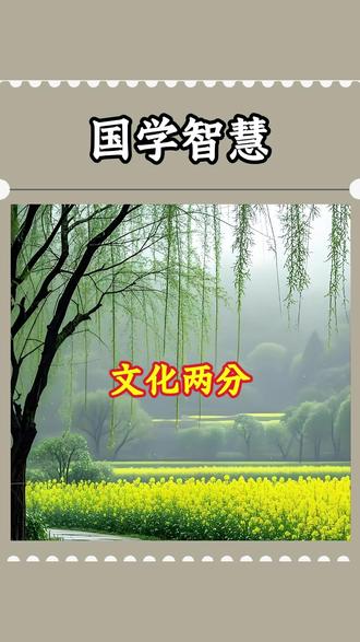 中华文化 ,核心就是两大学问。#传统文化 #国学智慧 #家文化