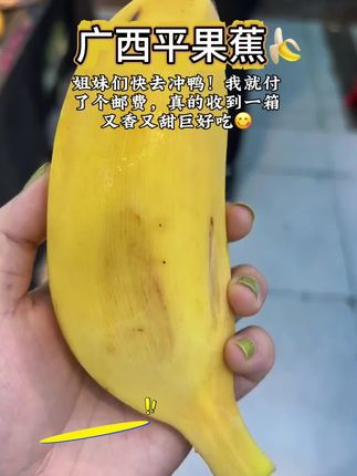 正宗广西苹果蕉自然熟3/5/9斤时令新鲜果粉香蕉芭蕉#新鲜采摘 #好物分享 #好品种一起分享