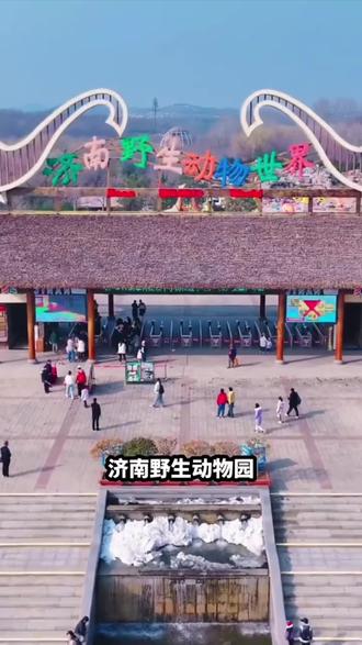 假期快带孩子来济南野生动物园#亲子 #济南野生动物世界 #动物园 #旅游 #旅行推荐官