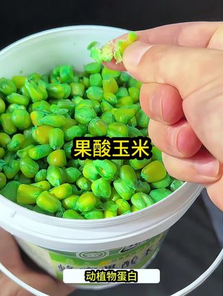钓鲤鱼草鱼就用蜂蜜果酸玉米窝料。, ,#钓鱼##饵料窝料##玉米窝料##打窝##鲤鱼草鱼