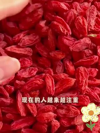 宁夏特级红枸杞,秋冬滋补正当时