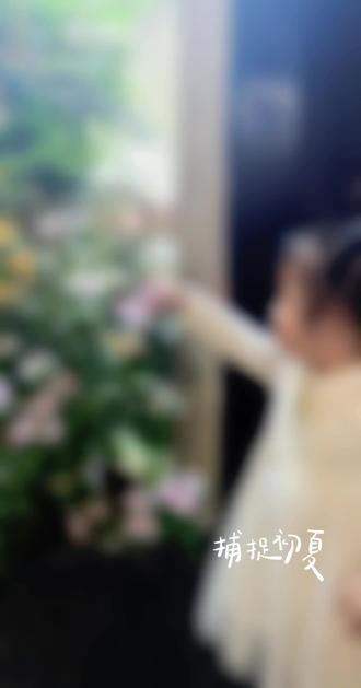 这片小花园成了妞妞必须要打卡的地方✌