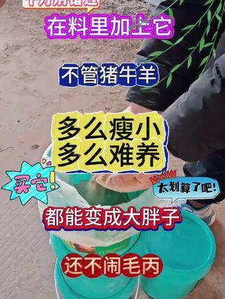#催肥增重拉骨架#瘦牛变肥牛#瘦羊变肥羊#开胃追膘王##养殖人加油