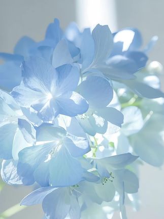 开挂了吧,花间颂粉饼,不吹不黑真挺好用!#花间颂粉饼 #高考后第一套化妆品 #定妆 #补妆 #学生党