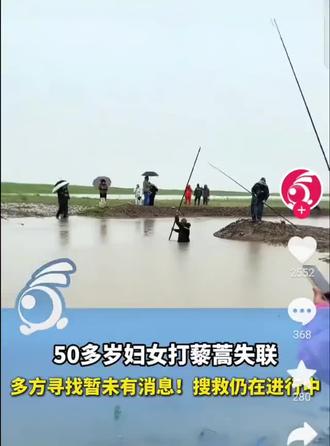 岳阳一女子洞庭湖打藜蒿失联,搜救仍在进行中……