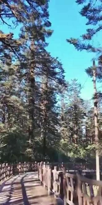 #易烊千玺#易烊千玺演唱会#李羲承#李羲承符神颜