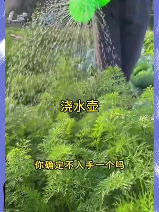 #浇水壶#种菜#浇花喷壶 #种植小技巧 #加厚洒水壶