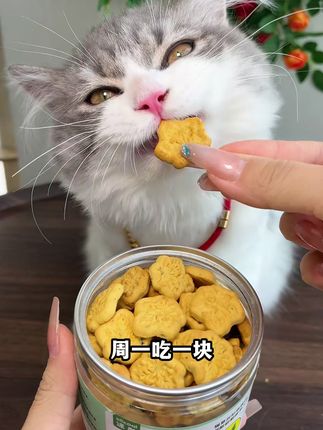 周一吃一块,周二吃一块。真没想到给我家猫吃了今天,毛毛真的随粑粑排出来了!#猫零食  #猫咪零食  #排毛球  #猫咪排毛  #猫饼干