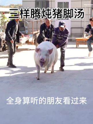#创作者扶持计划 #潮汕美食 #潮汕人#潮汕方言#潮汕
