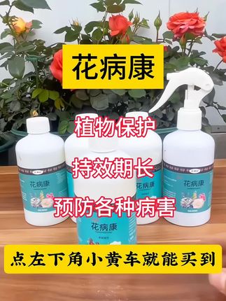 家里的植物花卉长各种斑点黄叶,马上喷上这个#花病康 试试?不用兑水摇一摇直接喷,方便又快捷#养花小知识#月季养护 #花卉养护  #花卉绿植 通用型