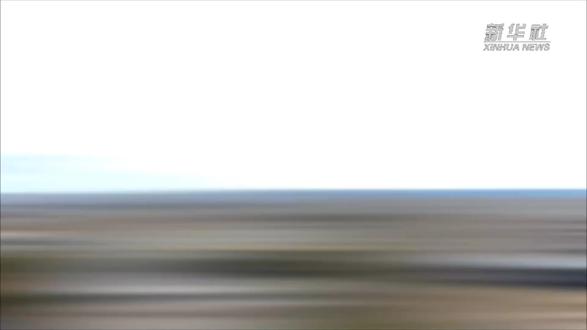 #特步儿童大国少年
你永远可以相信中国少年
一出手就是JD世界冠军!
#恭喜特步赞助少年秋秋拿下世界冠军🎉🎉🎉