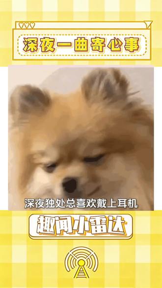 快捷分享通道,好物旋律共享好友#汽水音乐 #汽水音乐app #音乐盘点 *豆豆