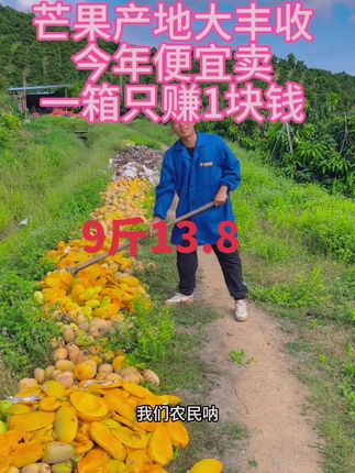 #芒果